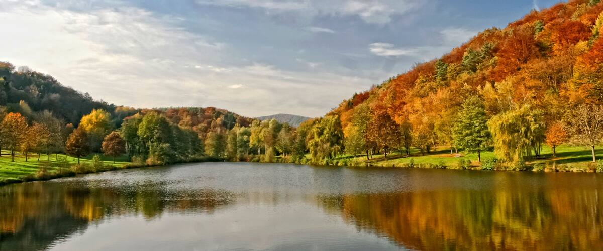 A calm lake surrounded by autumn-colored trees and a grassy field.