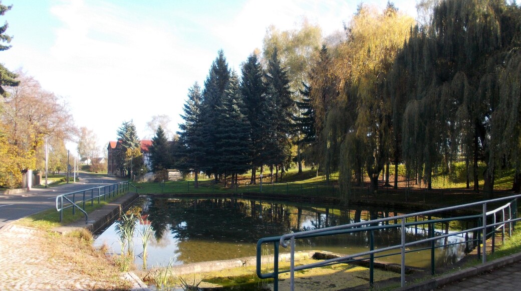 Pond in Obertrebra (Weimarer Land district, Thuringia)
