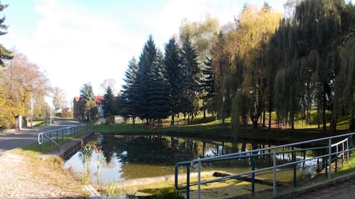 Pond in Obertrebra (Weimarer Land district, Thuringia)