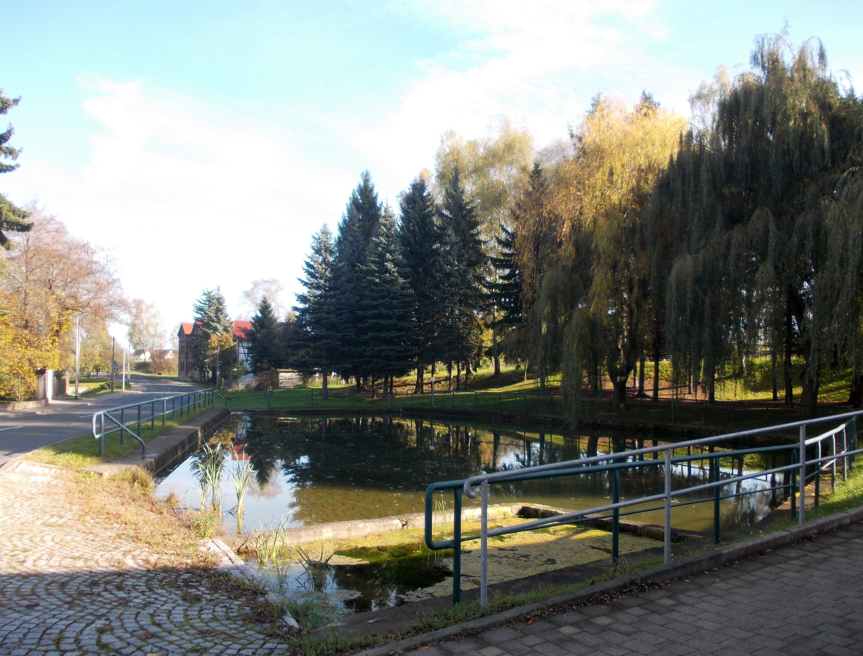 A park with a pond, trees, and a building in the background.