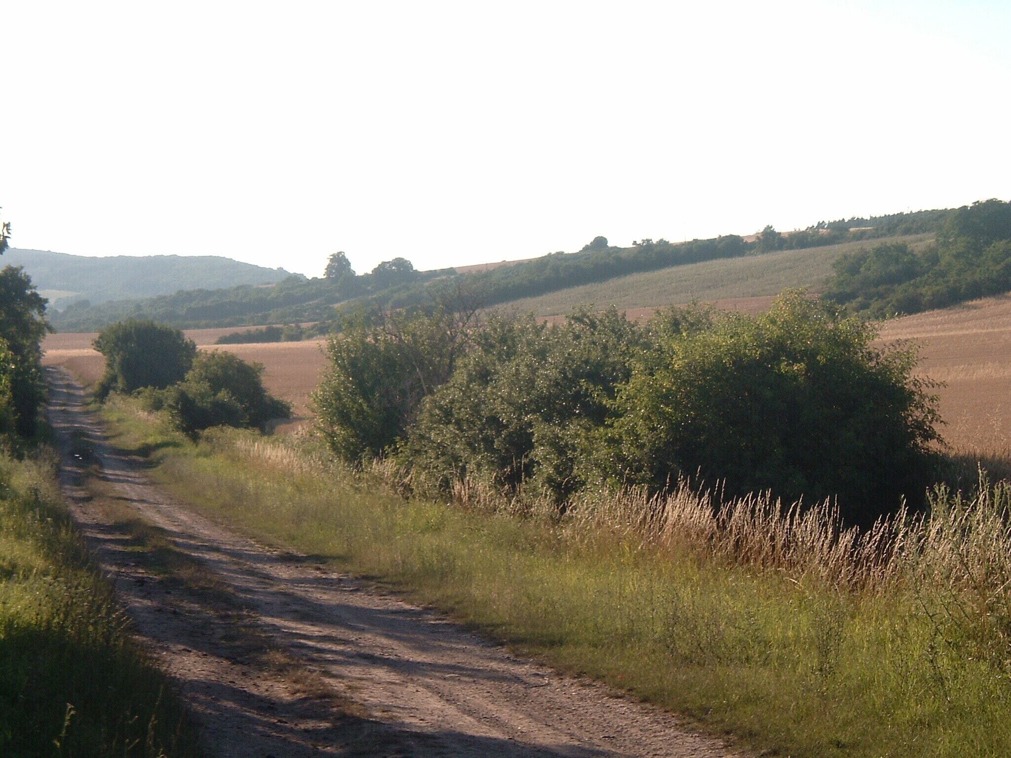 Schücke Harraser Weg