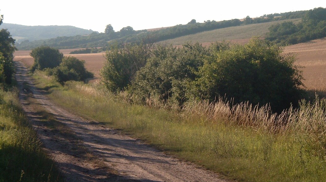 Schücke Harraser Weg