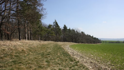 Frühlingsrundwanderung Schmücke bei Heldrungen Südabhang - mittel-und jungsteinzeiliche Siedlungen