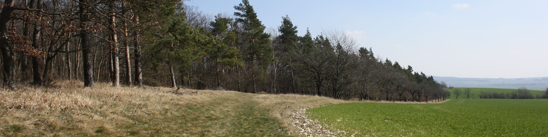 Frühlingsrundwanderung Schmücke bei Heldrungen Südabhang - mittel-und jungsteinzeiliche Siedlungen