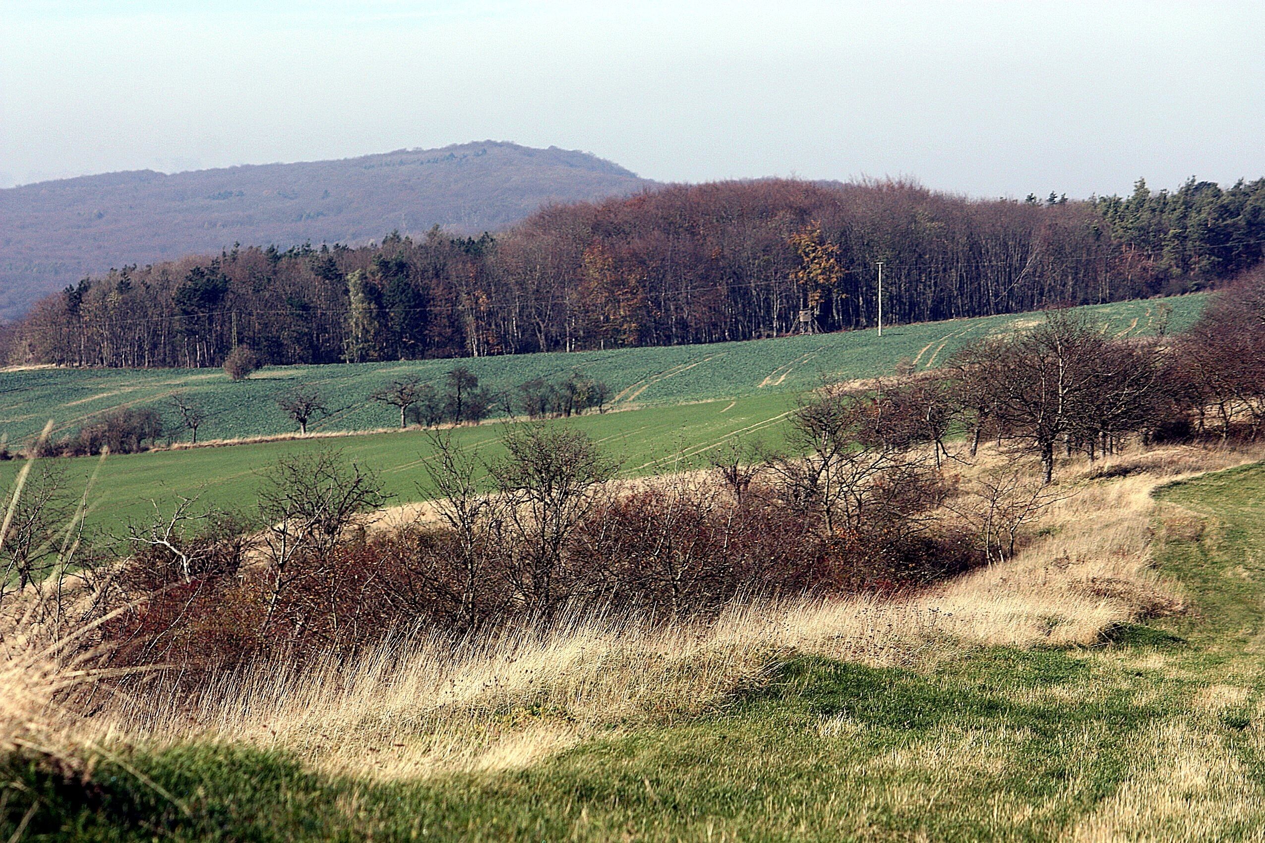Schmücke mountains, on the ridgeway