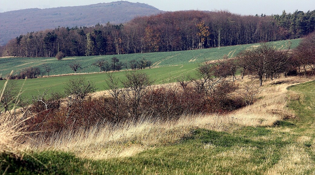Schmücke mountains, on the ridgeway