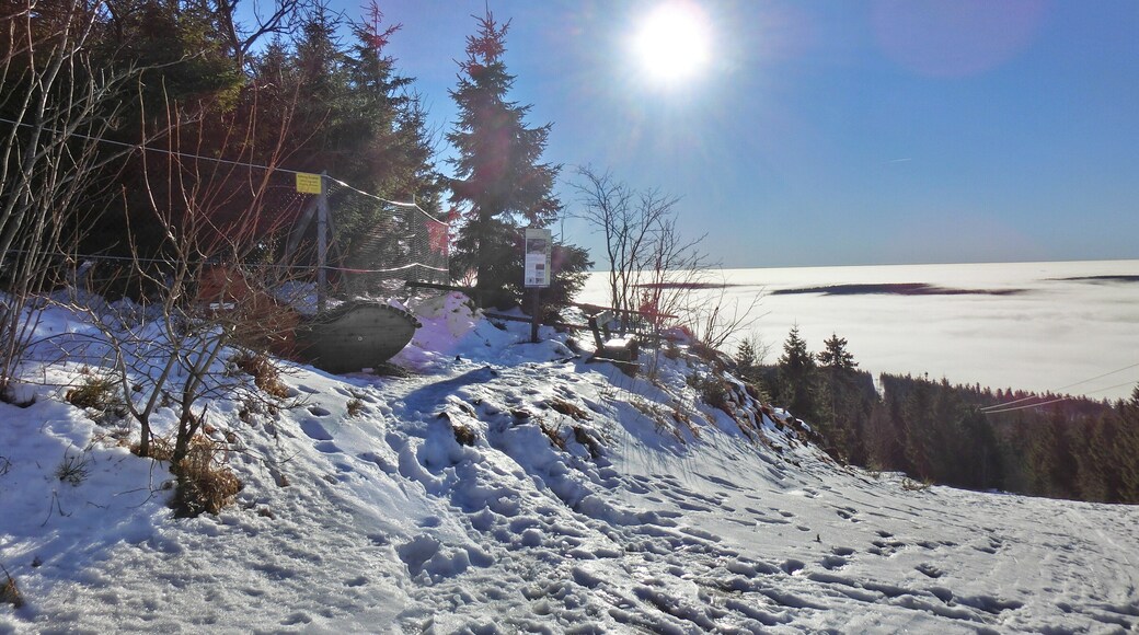 Wellnessliege am Ochsenkopfsüdhang