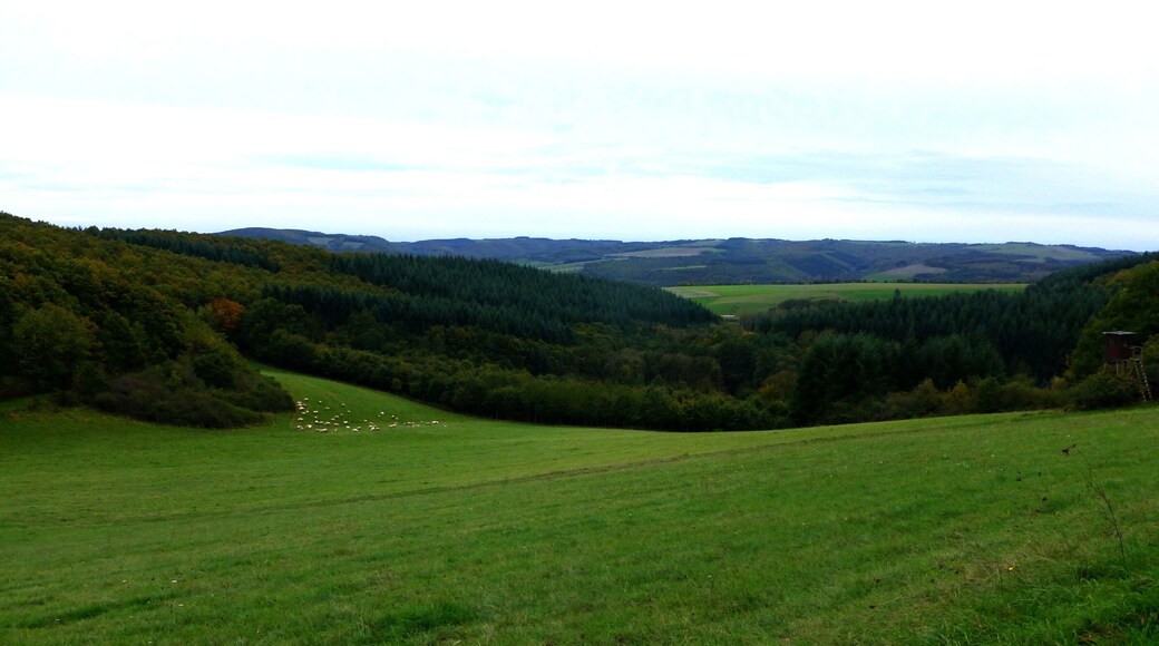 Wiesental zwischen Weiler und Langenthal