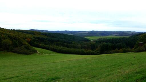 Wiesental zwischen Weiler und Langenthal