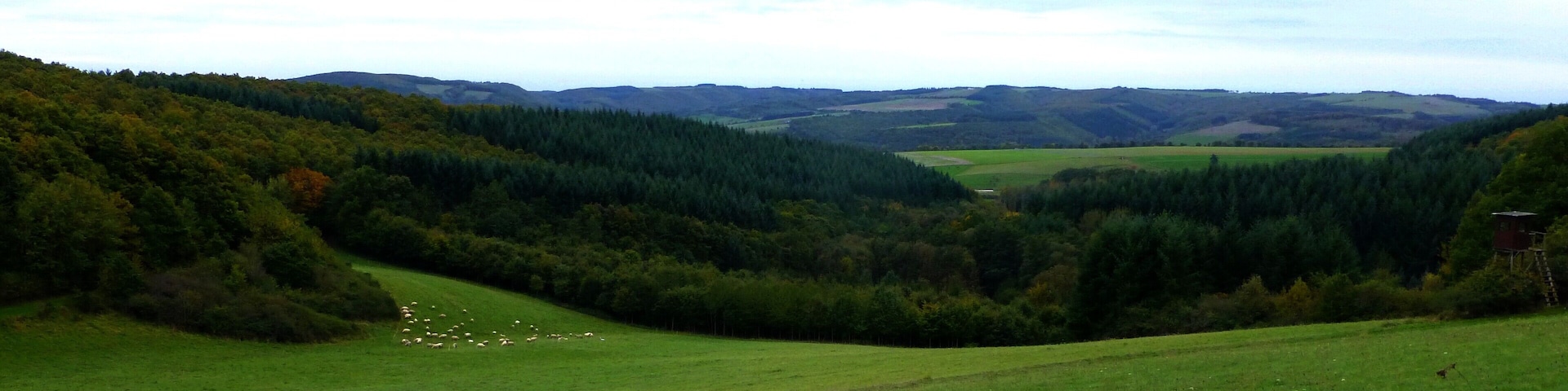 Wiesental zwischen Weiler und Langenthal