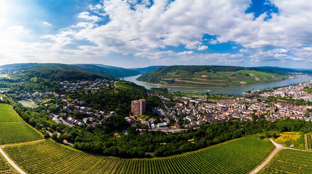 Germany, Rhineland-Palatinate, Aerial view of Weiler am Rhein, Nahe river and Bingen am Rhein