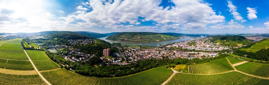 A panoramic view of a town nestled between lush green fields and a river.