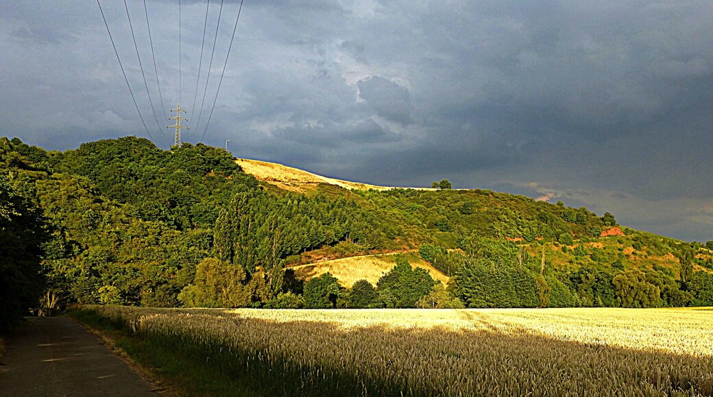 Weiler bei Monzingen – Abenstimmung (HDR)