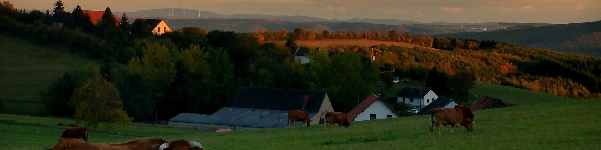 Blick vom Gonrather Hof in Richtung Lettweiler und Lauschied