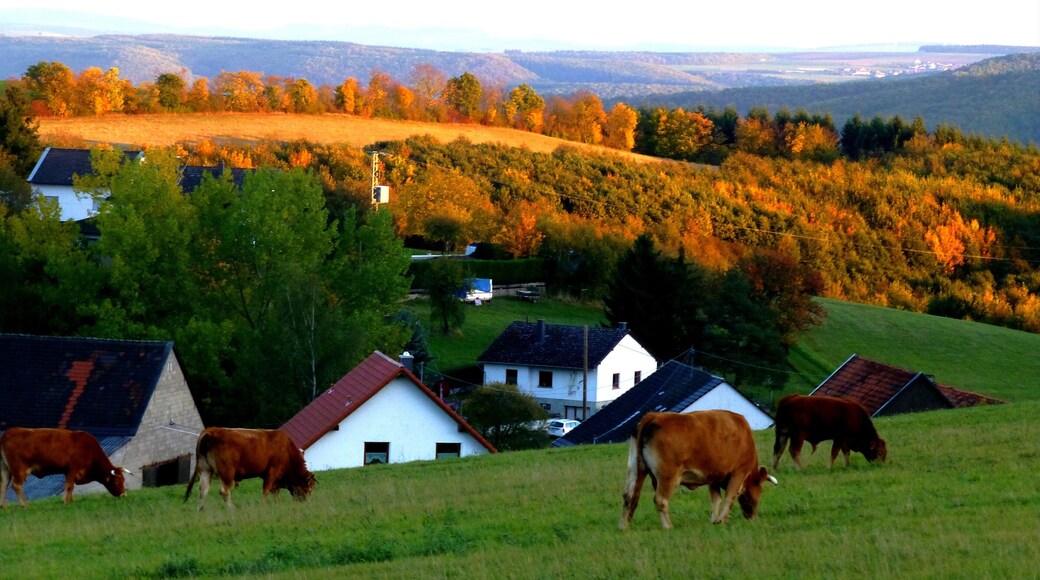 Blick vom Gonrather Hof in Richtung Lettweiler und Lauschied