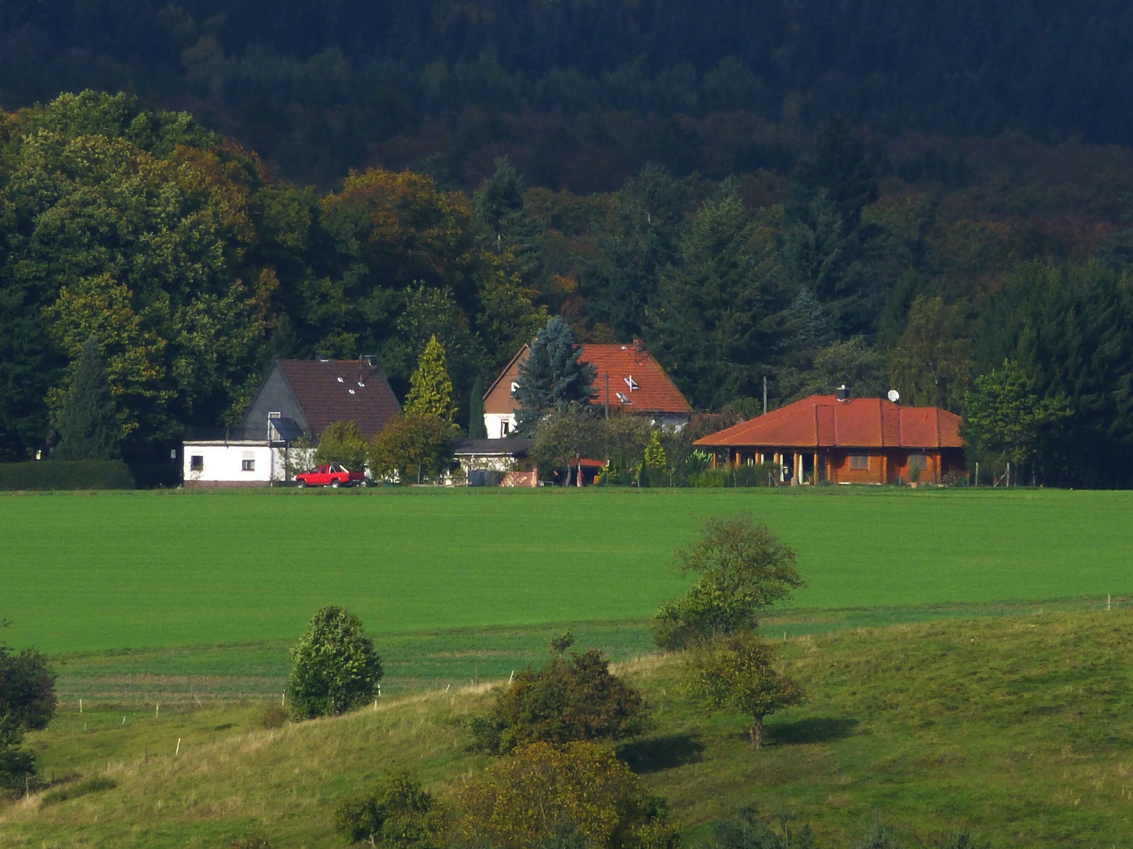 Seesbach - Waldfriede