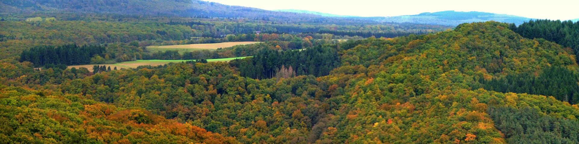 Blick vom Langenthaler Steinbruch zum Soonwald von Ellerspring bis Opel