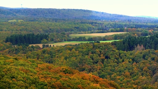 زيسباخ