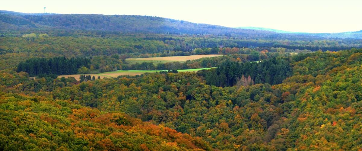 A forested valley with rolling hills and a distant water tower.