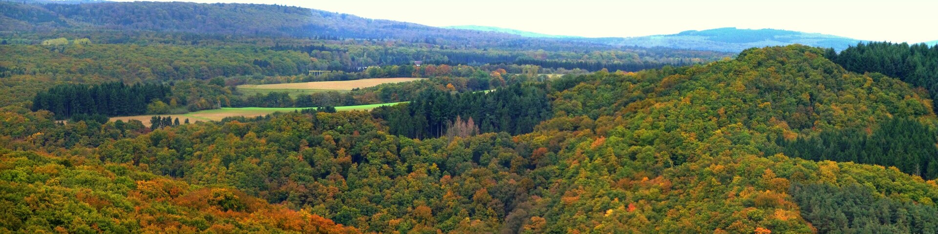 A forested valley with rolling hills and a distant water tower.