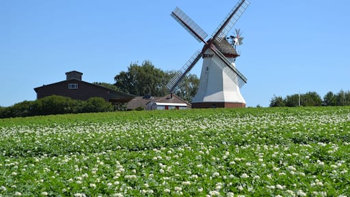 Windmill in Eyendorf, Lk. Harburg, Lower Saxony