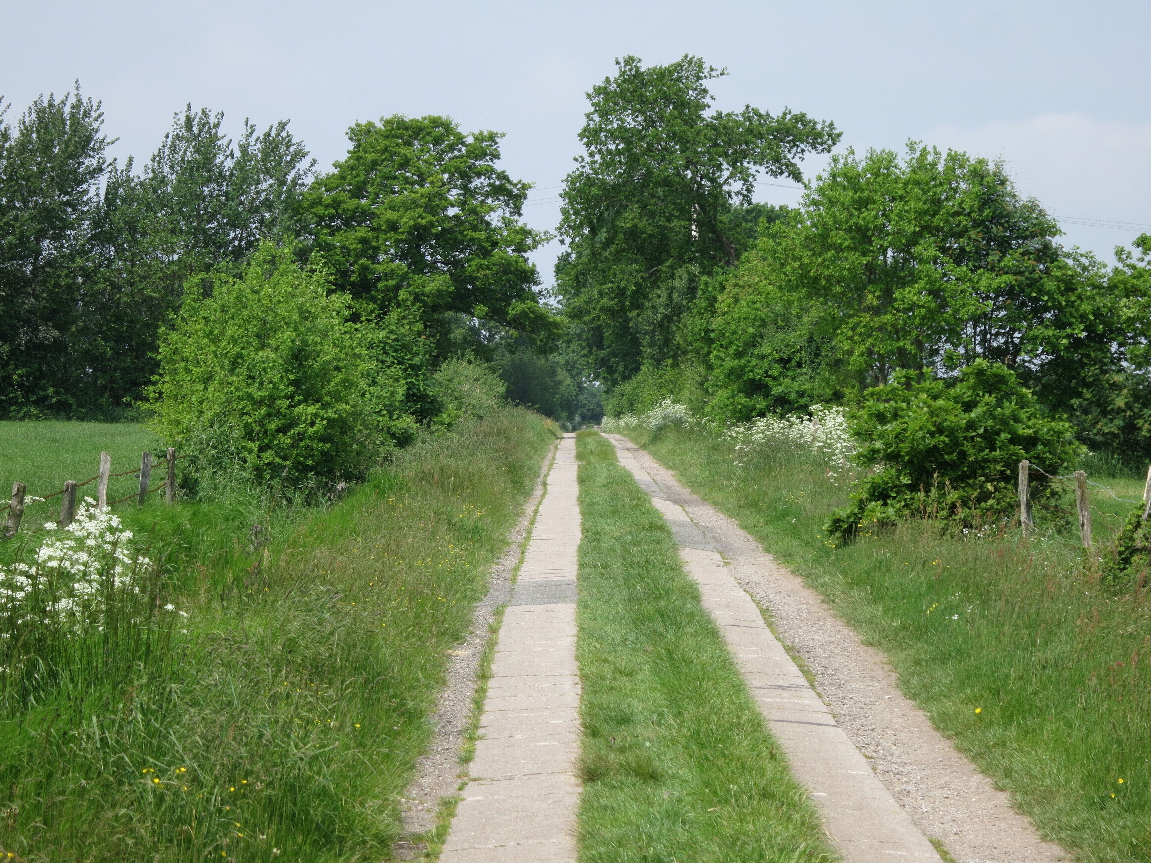 Spurbahn in Ottenbüttel