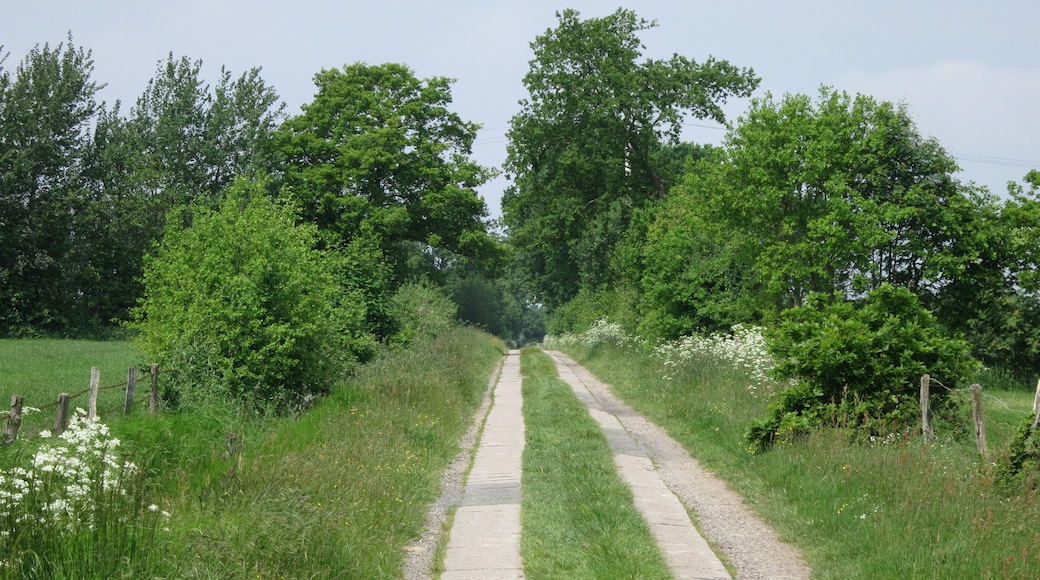 Spurbahn in Ottenbüttel