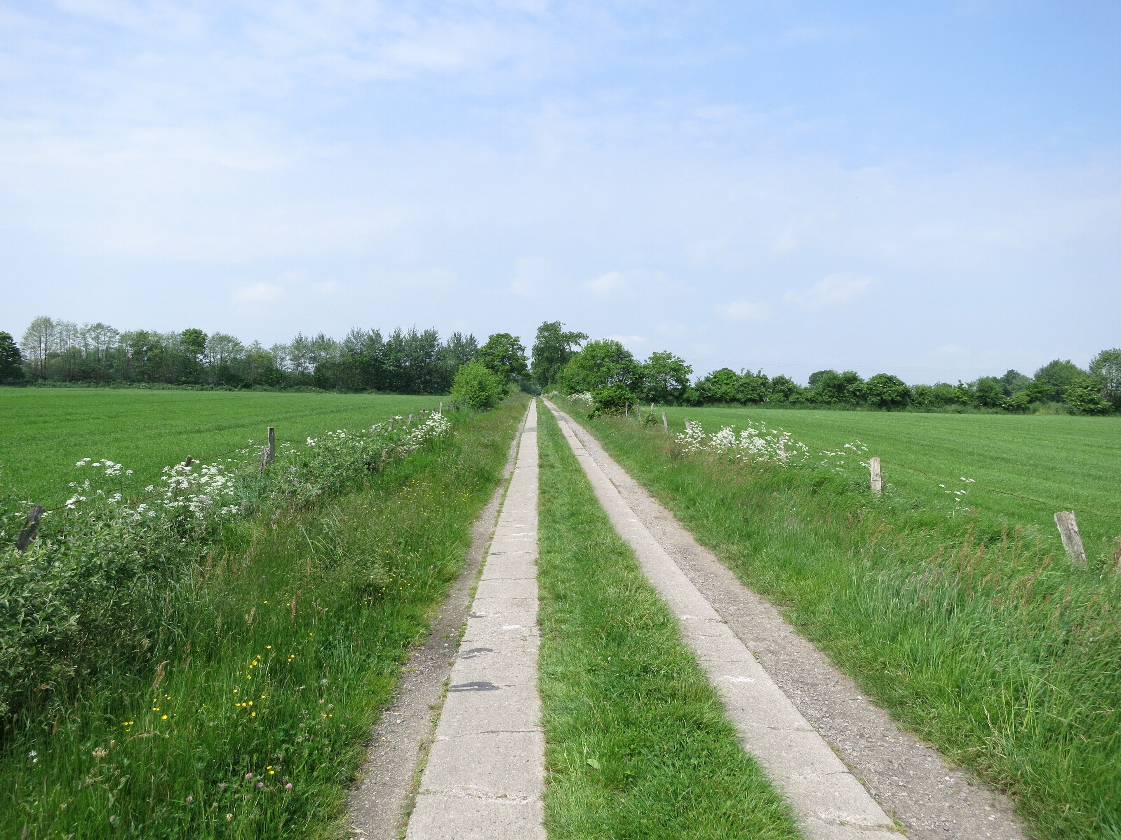 Spurbahn in Ottenbüttel