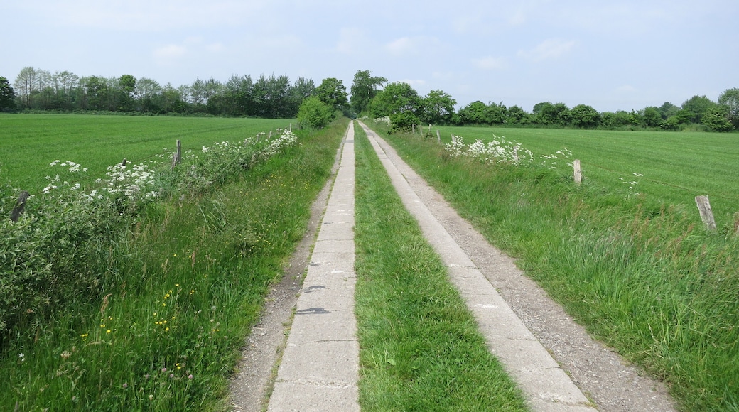 Spurbahn in Ottenbüttel