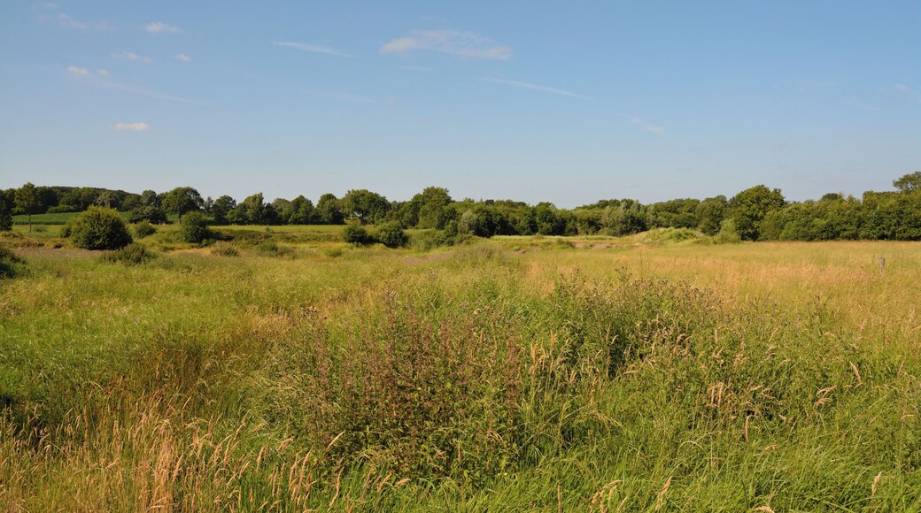 Landschaft im Osten nahe der Tongrube