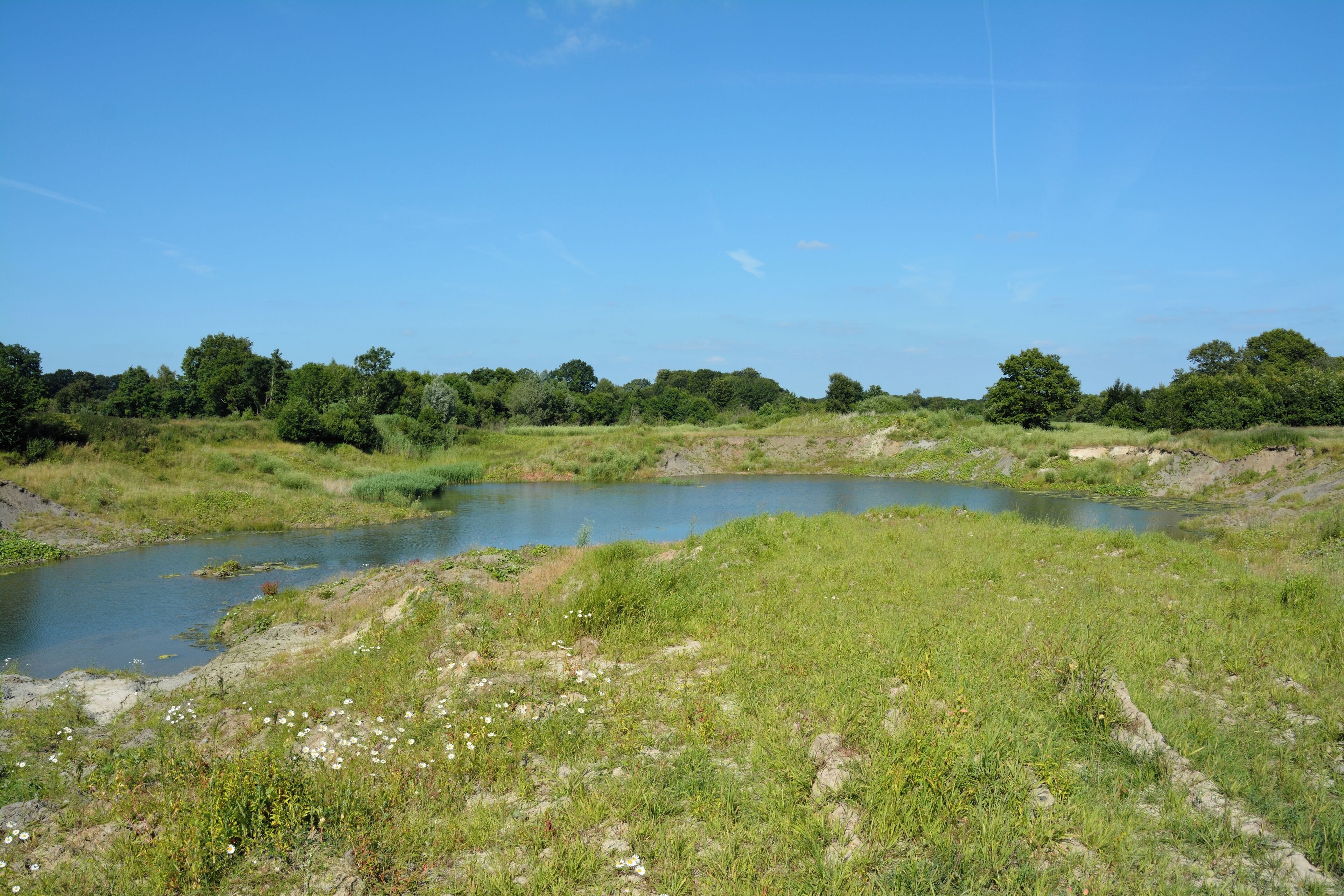 A river meandering through a grassy landscape with trees in the background.