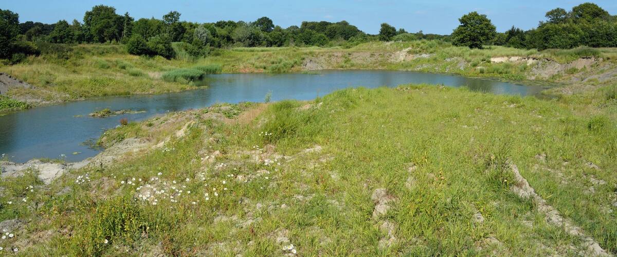 A river meandering through a grassy landscape with trees in the background.