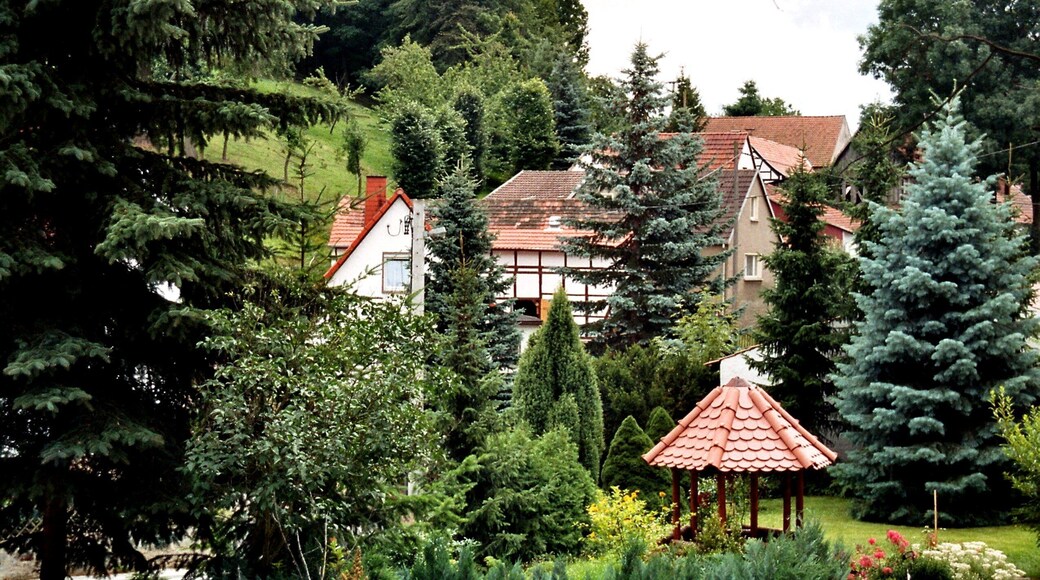 Lindenkreuz, in the green