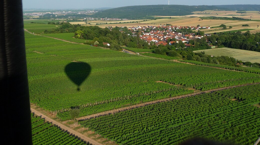 Luftaufnahme: Mandel - Rüdesheim – Landkreis Bad Kreuznach --- Naheweinland