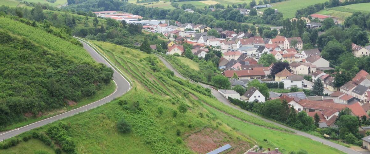 A rural landscape with a winding road, terraced vineyards, and a cluster of houses with red roofs.
