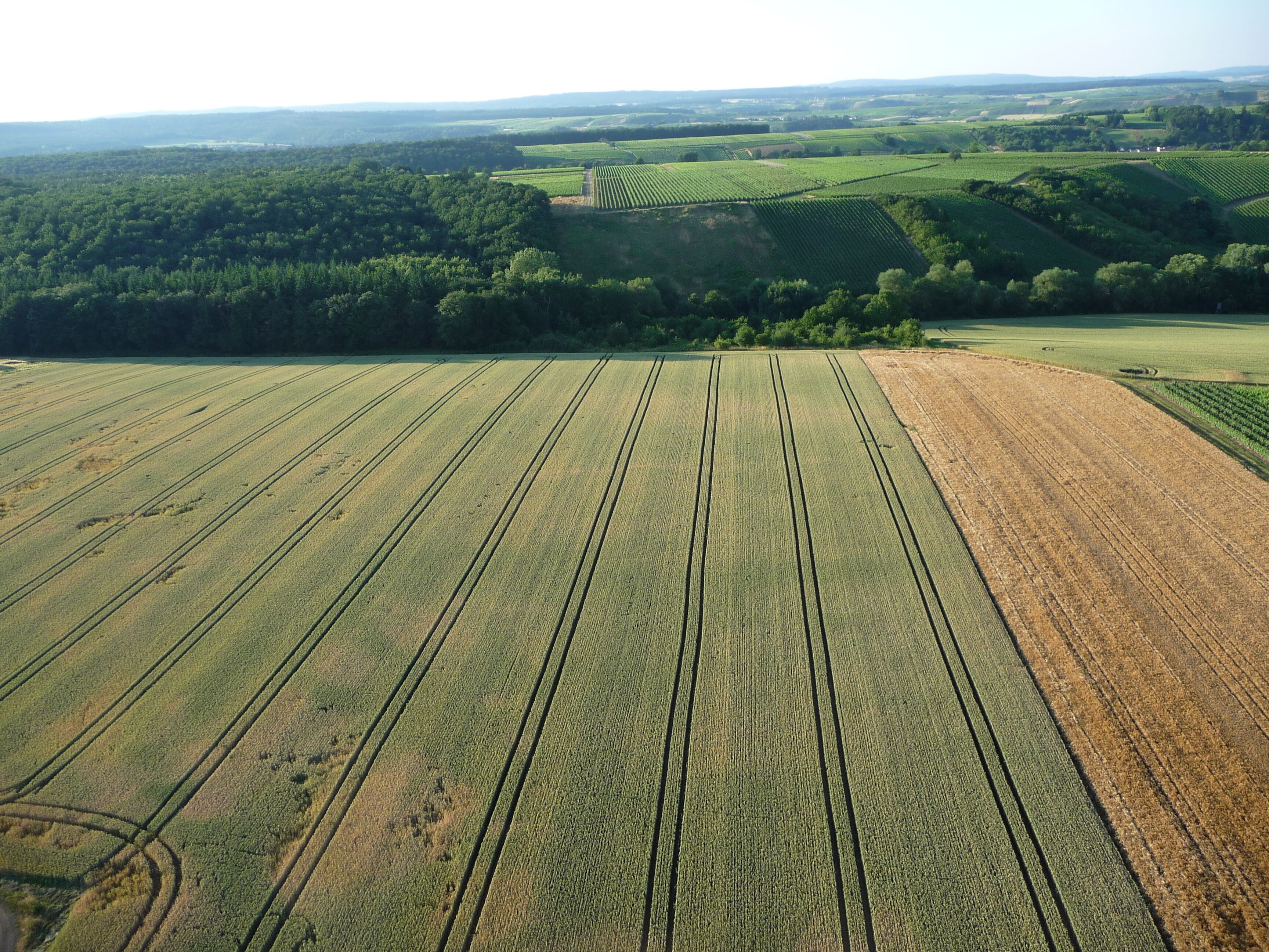 A vast agricultural landscape with neatly arranged fields, a forested area in the background, and rolling hills.