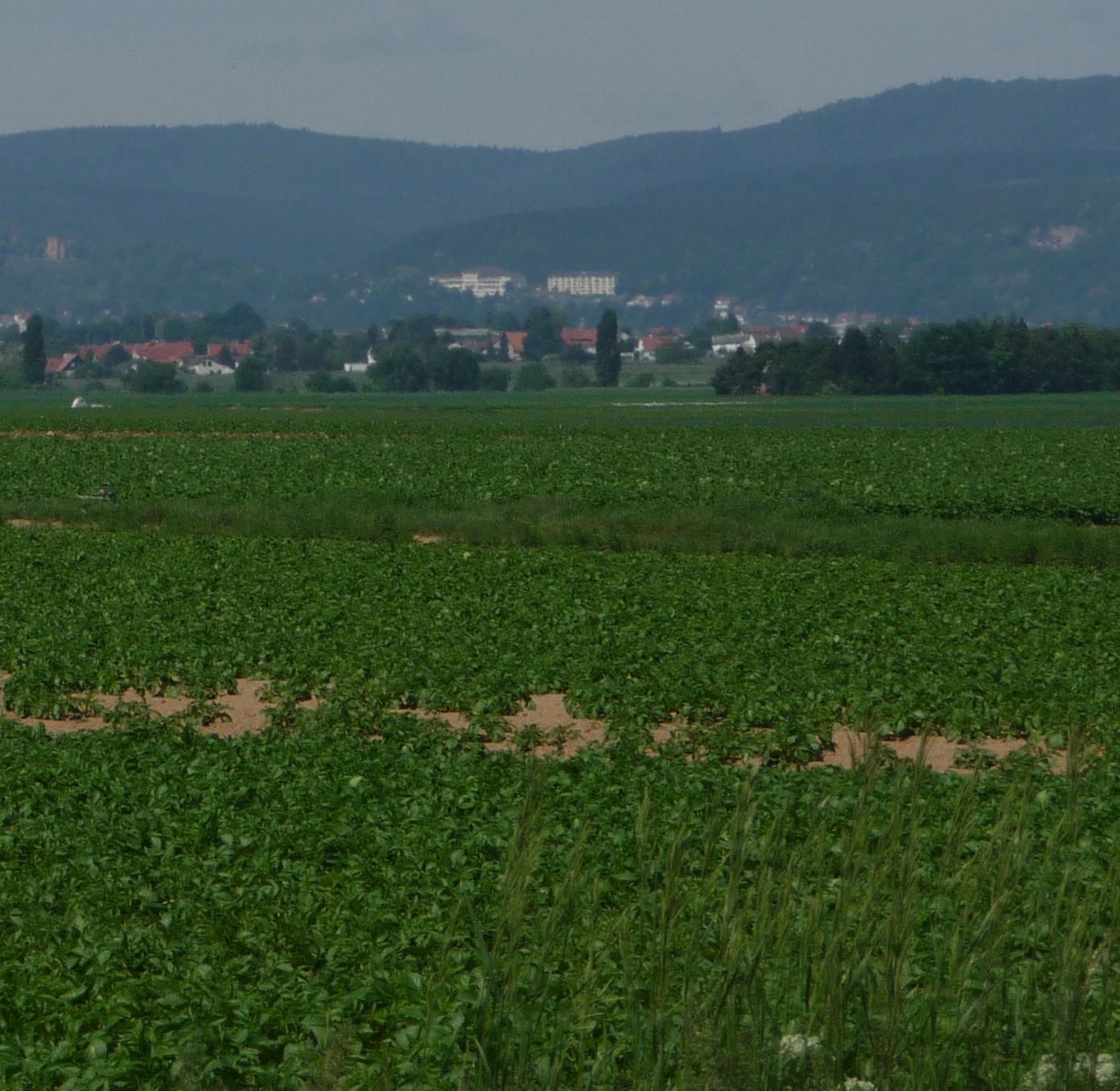 Pfälzerwald und Bad Dürkheim