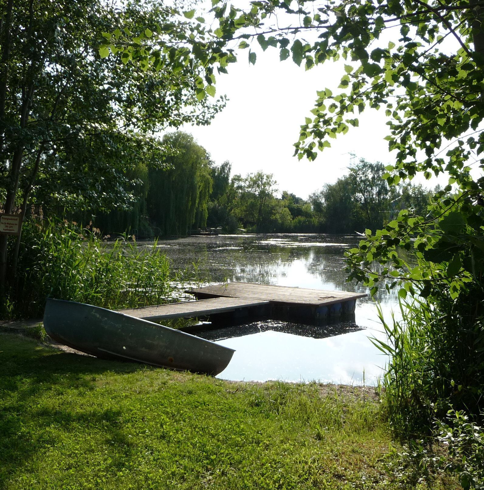 Teich am Flugplatz Dannstadt