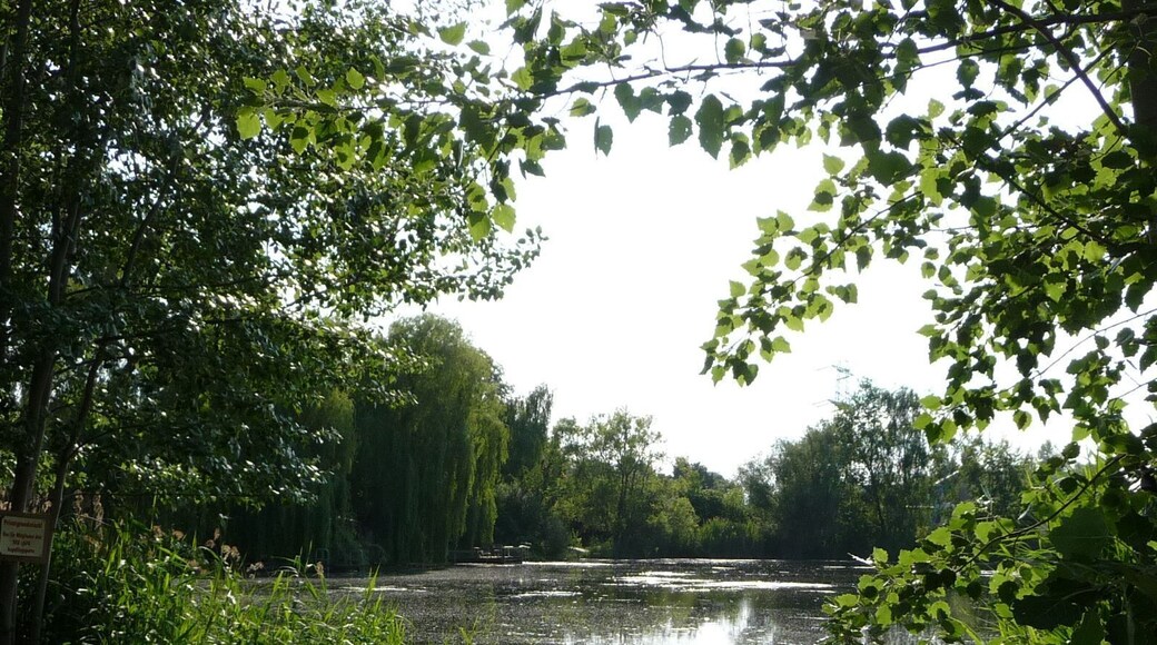 Teich am Flugplatz Dannstadt