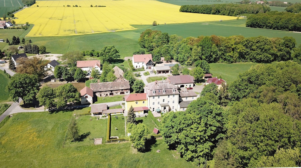 Lauske Rittergut (Puschwitz, Saxony, Germany)