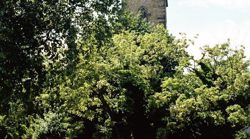 Neumark (bei Weimar), the tower of the Saint John church