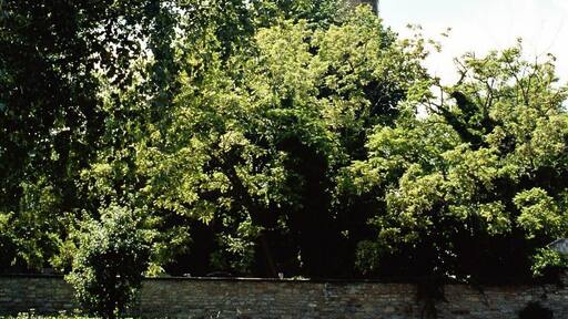 Neumark (bei Weimar), the tower of the Saint John church