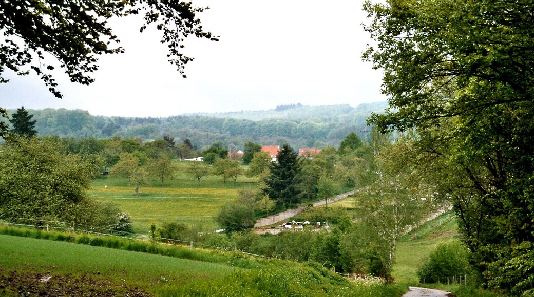 Frohnhofen, view to the village