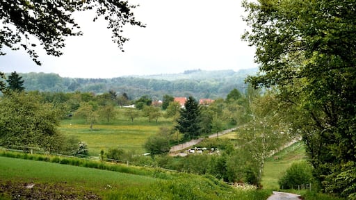 Frohnhofen, view to the village