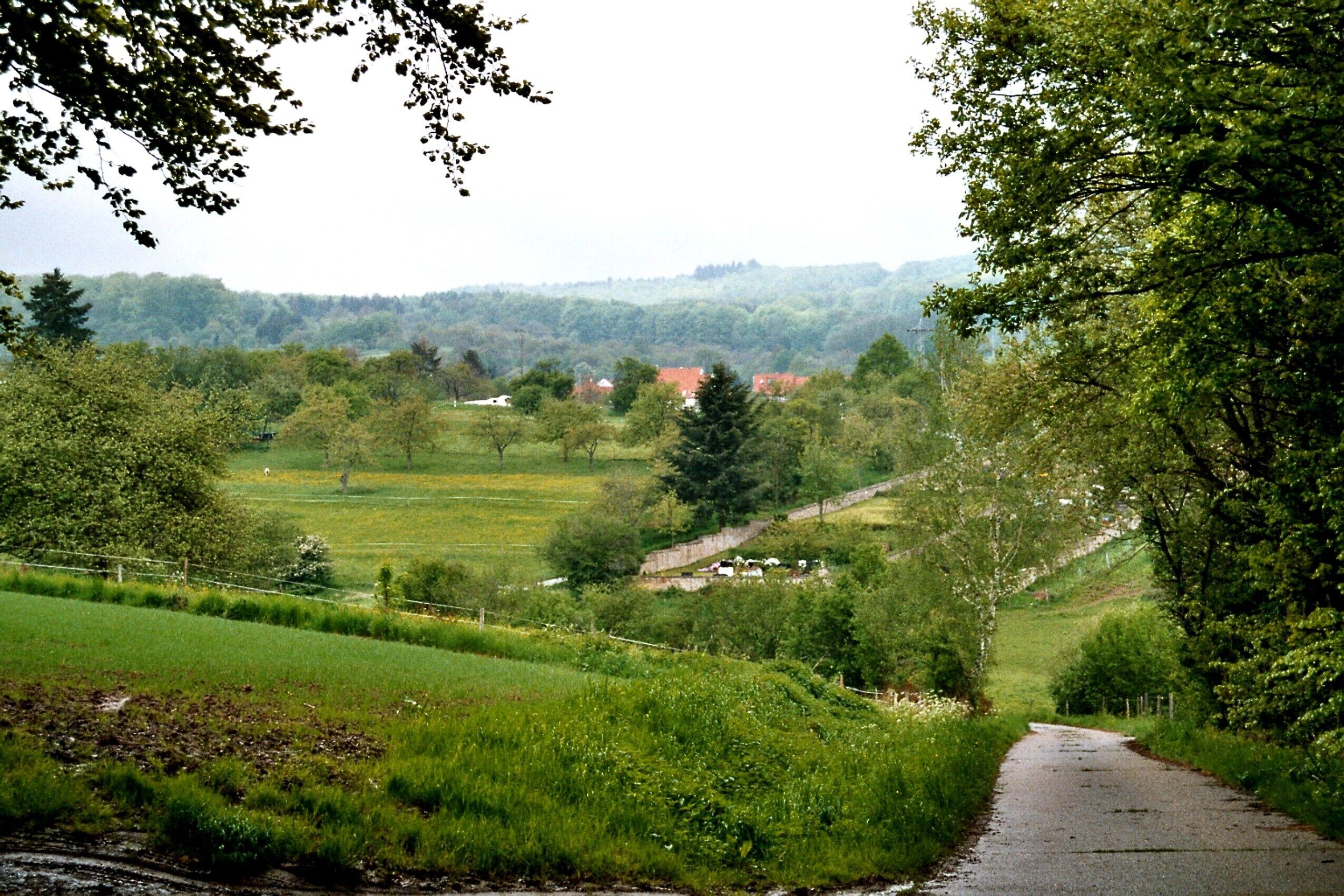 A rural landscape with a narrow road, green fields, trees, and distant houses.