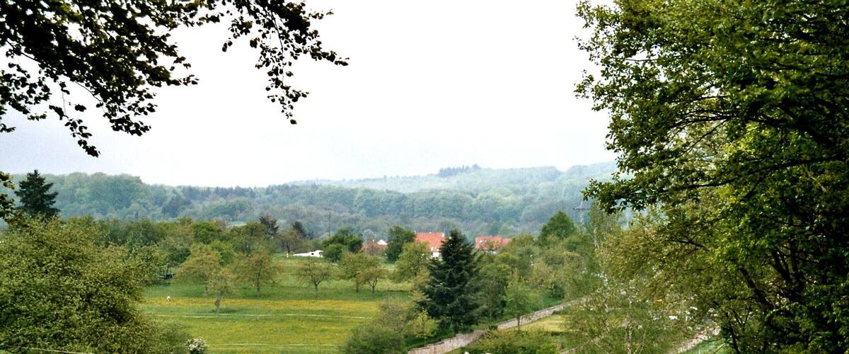 A rural landscape with a narrow road, green fields, trees, and distant houses.