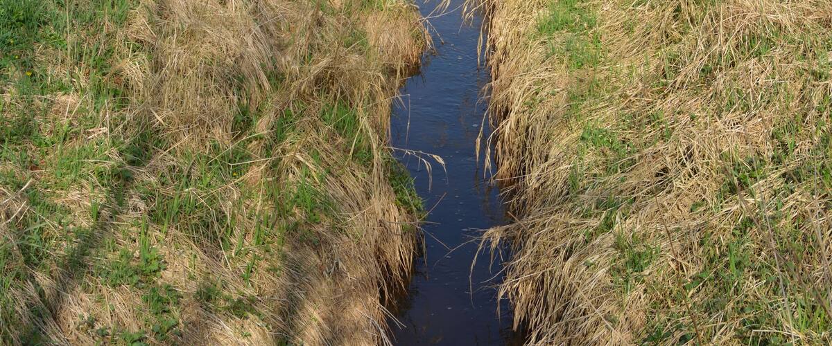A narrow water channel flanked by dry grass and trees under a partly cloudy sky.