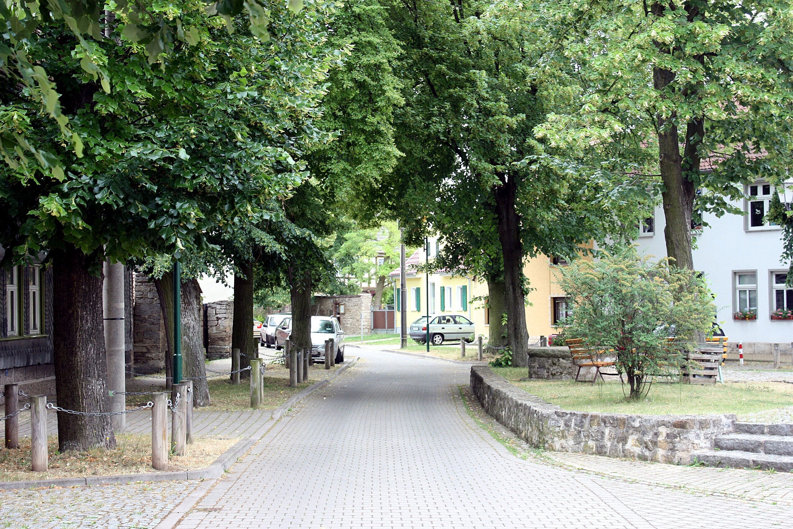 A cobblestone street lined with trees and benches, leading to a building with a stone wall and a parked car.