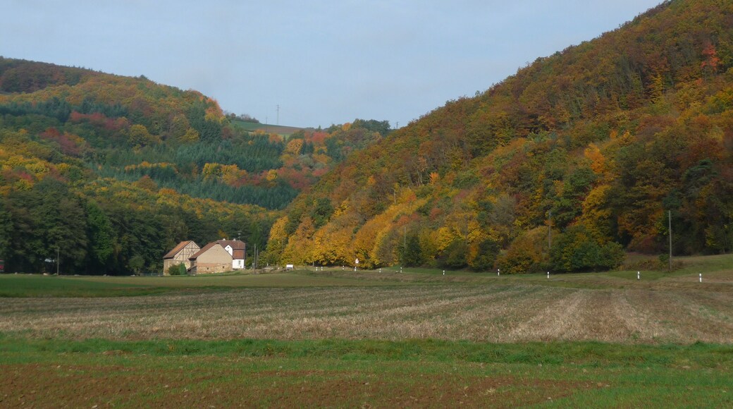 Langenthal - Tor zum Hoxbachtal - 10.10.08
