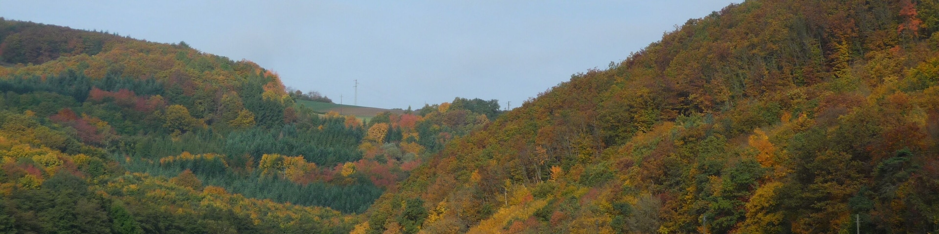 Langenthal - Tor zum Hoxbachtal - 10.10.08